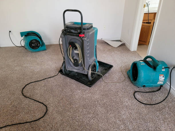 Best Commercial water damage restoration  in North Platte, NE