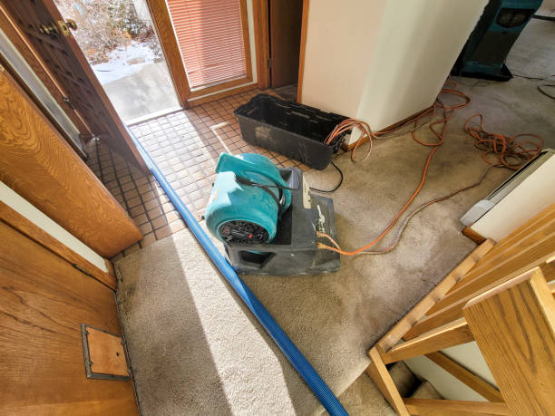 Best Ceiling water damage repair  in North Platte, NE