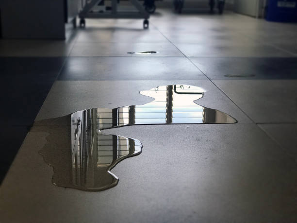 Best 24/7 water damage repair  in North Platte, NE