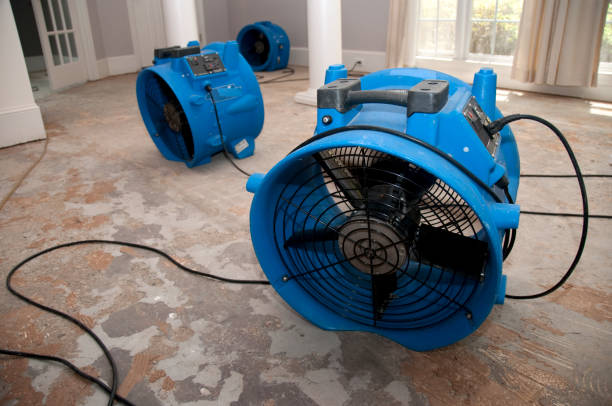 Best 24-hour water damage restoration  in North Platte, NE