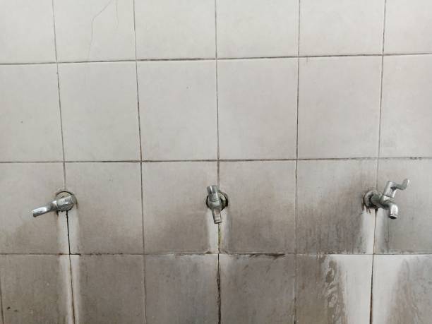 Best Water damage repair service  in North Platte, NE