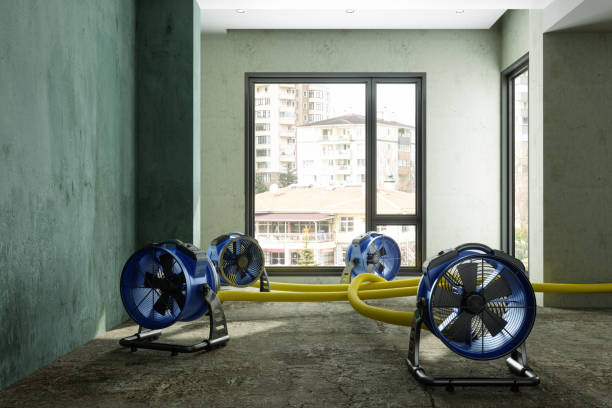 Water damage restoration process in North Platte, NE